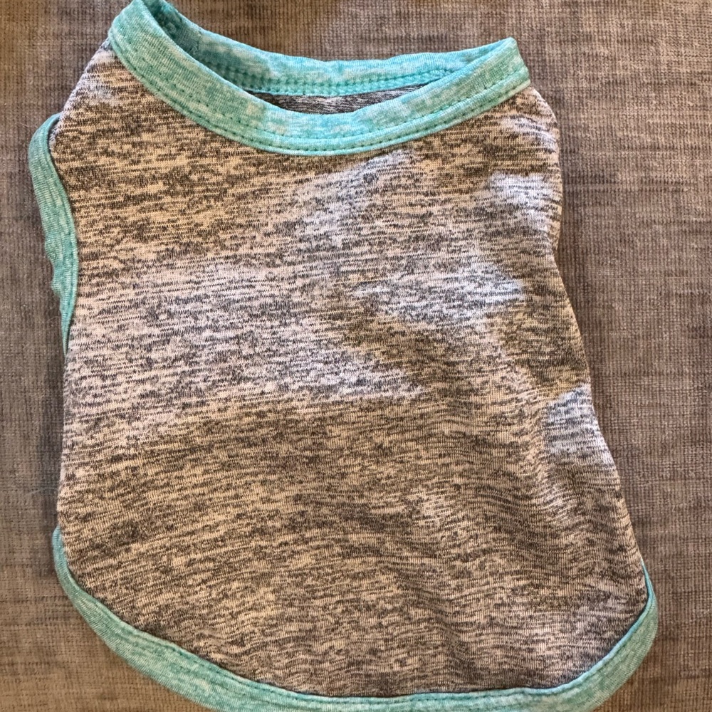 Gray and Teal Dog Shirt